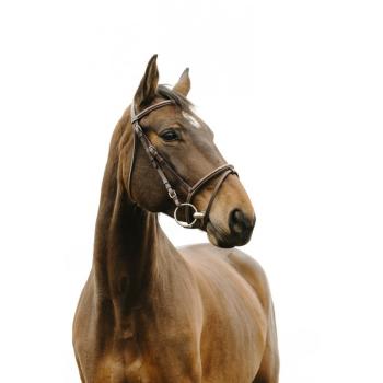 norton-club-deco-bridle.jpg