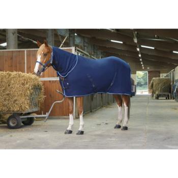 riding-world-combo-polar-fleece-sheet.jpg