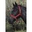 riding-world-headcollar.jpg