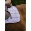 riding-world-sunshine-saddle-pad (9).jpg