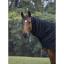 equitheme-polar-fleece-neck-cover (2).jpg